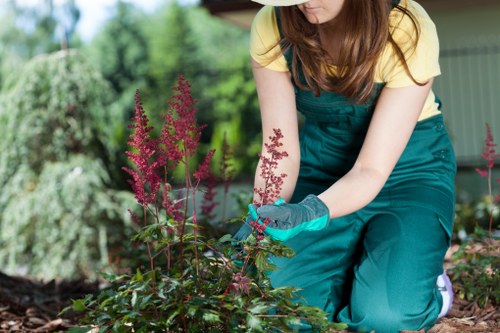 Inspector reviewing garden work and taking photographs